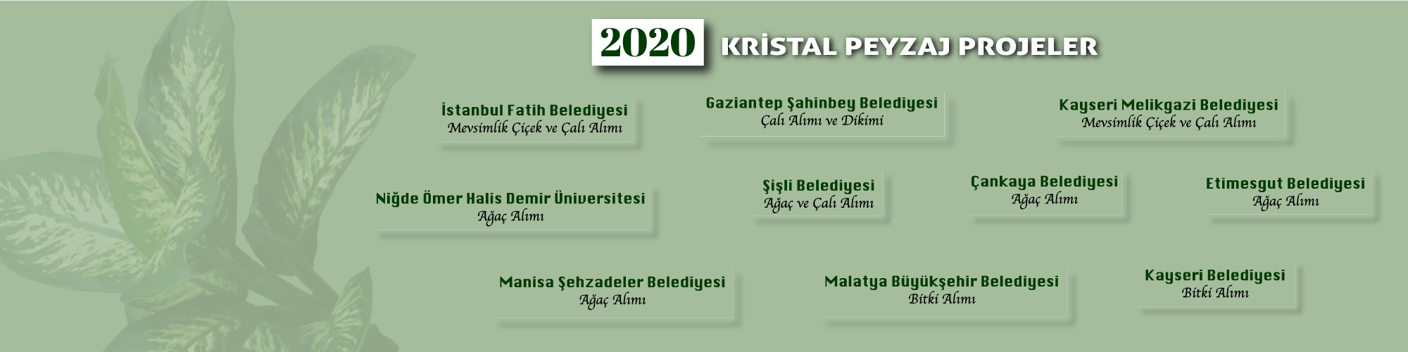 Kristal Peyzaj10