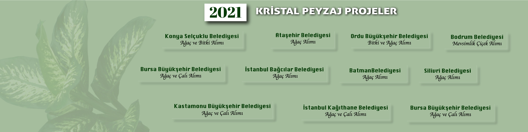 Kristal Pezaj12